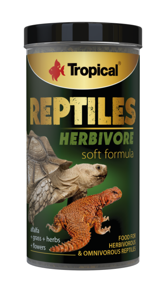 Reptiles Herbivore Soft Line